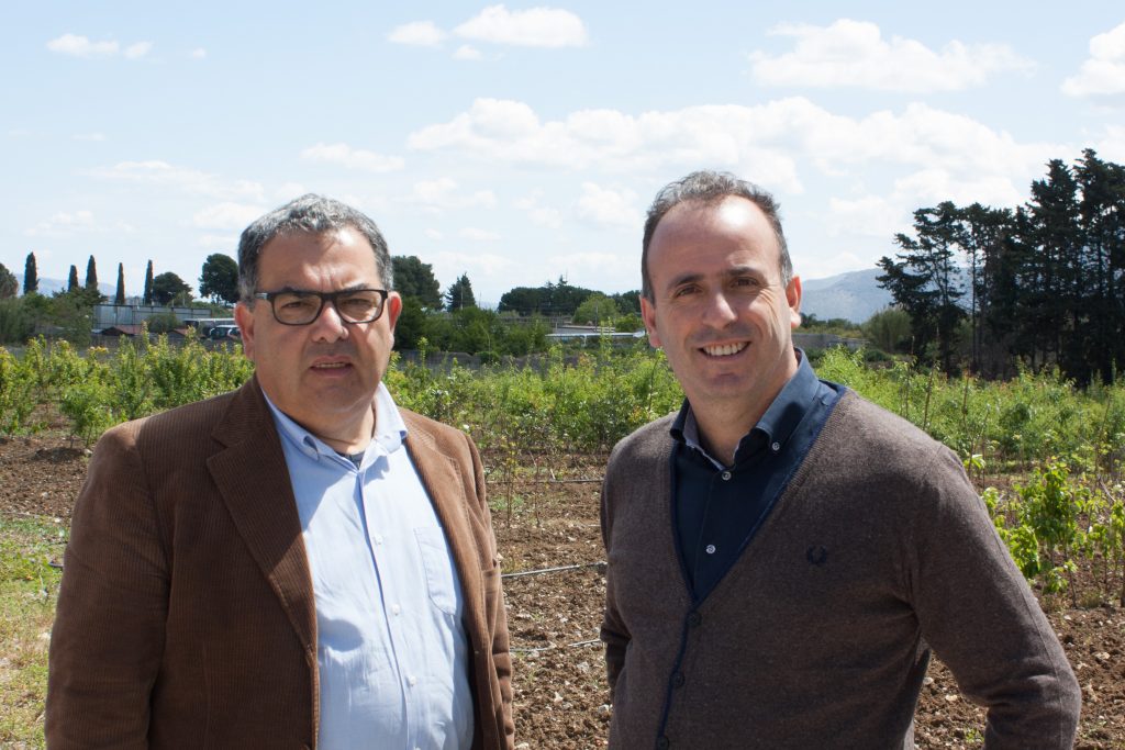 Vito Falco e Giacomo Ansaldi