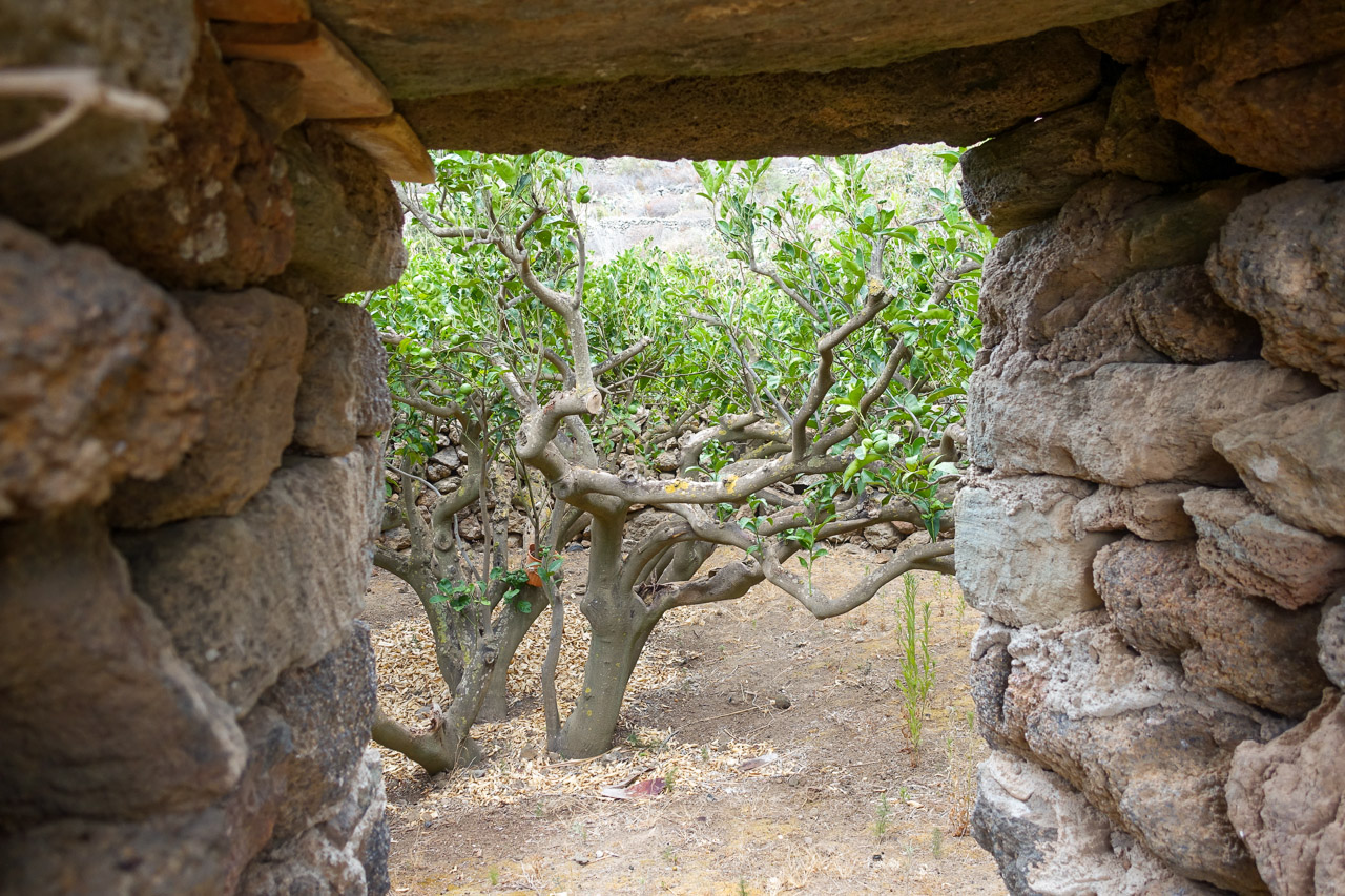 ingresso di un giardino pantesco